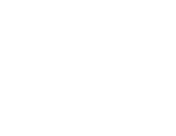 Databricks Logo