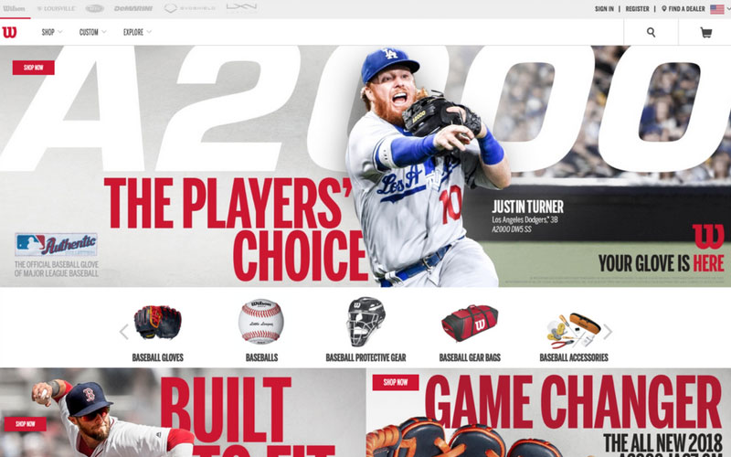 wilson header image