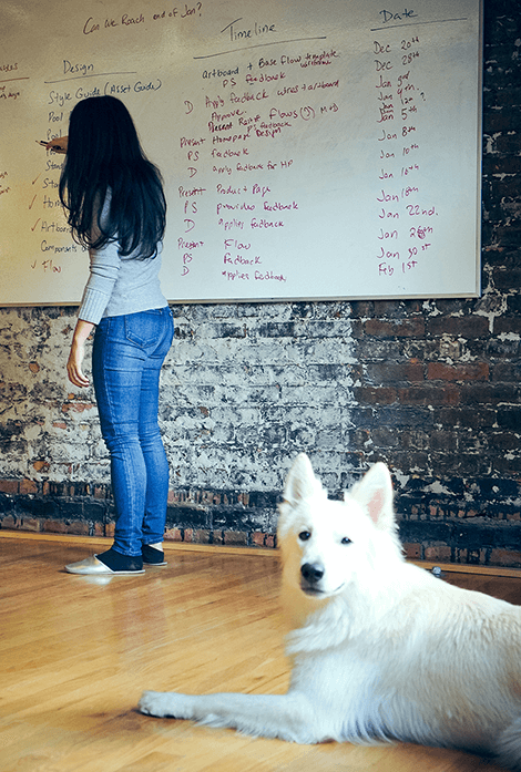 Bounteous dog woman working