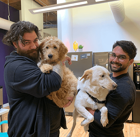 bounteous employees pets