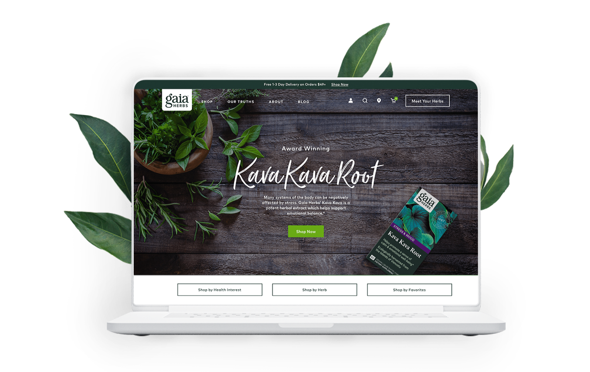 Gaia Herbs home screen show on lap top in front of leafs