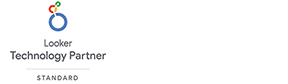 Looker Technology Partner