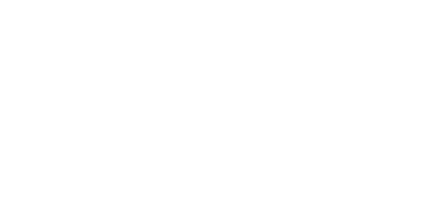 Noodles & Co