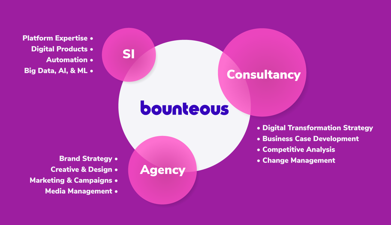 image showing a circle with bounteous in the middle with other circles saying SI, Consultancy, and Agency
