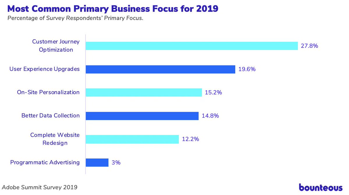 graph depicting the most common primary business focuses for 2019