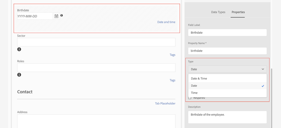 image showing how model creator can define a field to be either a date, a time, or date and time