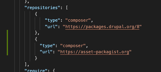 Screen shot showing default composer.json after