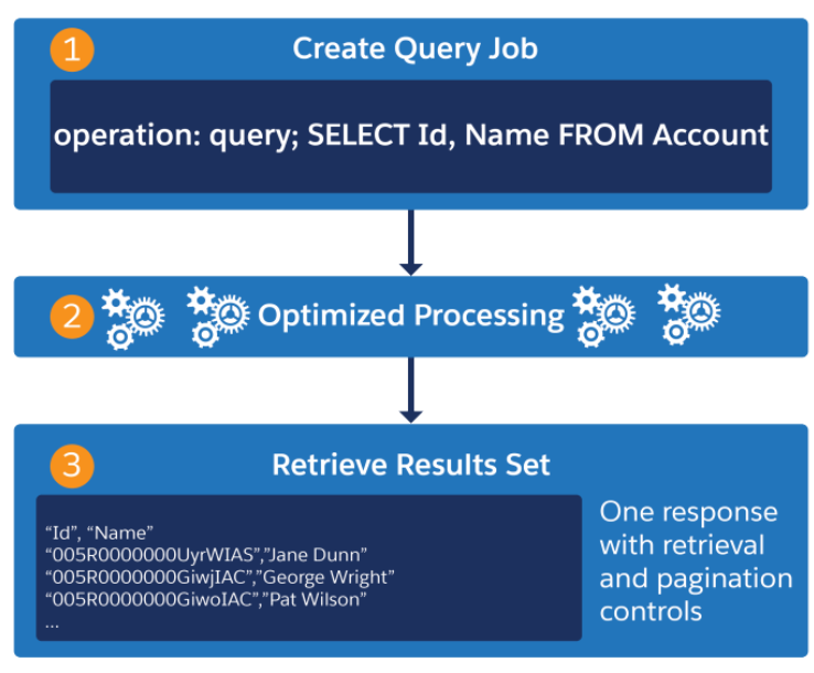 Using the Salesforce Bulk API