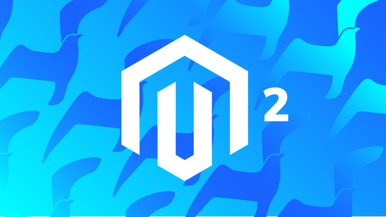 Magento 2 image