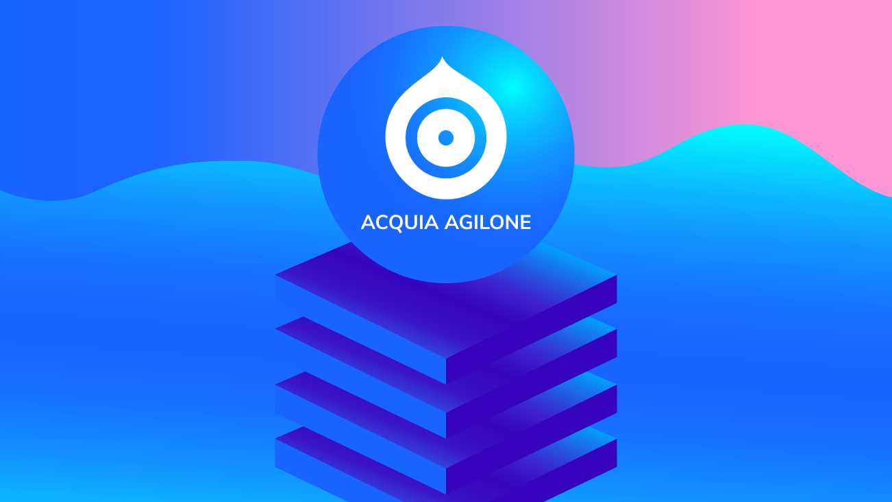 AgilOne: A Pioneer of the Customer Data Platform blog image