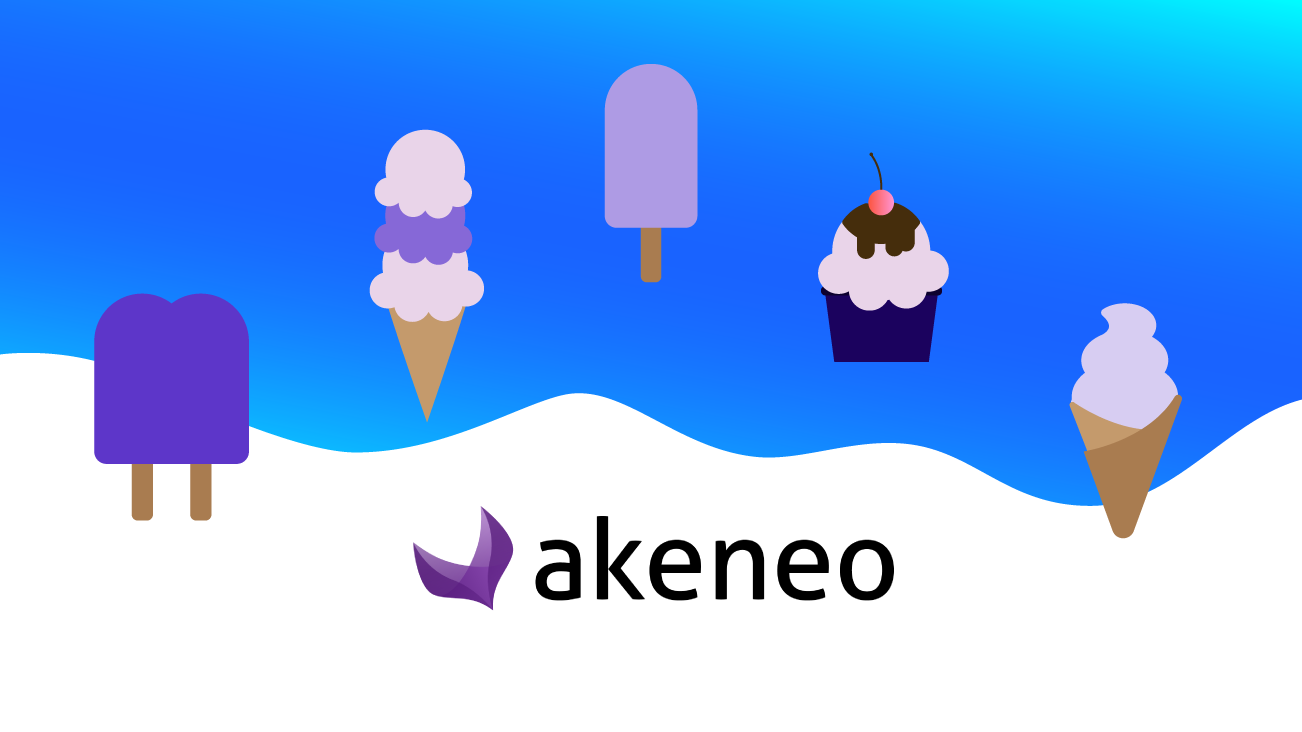 Which Flavour of Akeneo is Right for You? Enterprise Versus Community Edition image