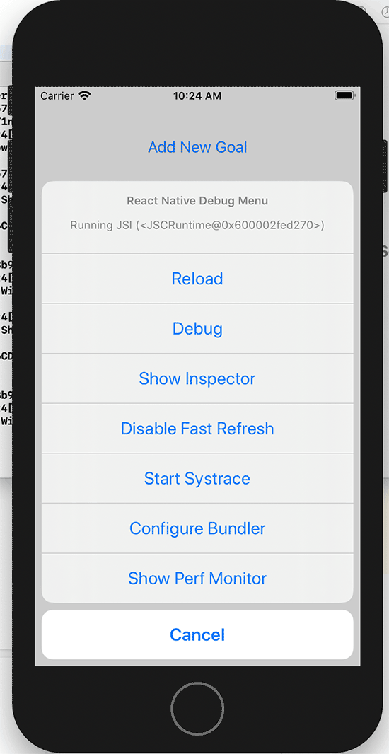 screen grab of iOS SIM Debug Menu