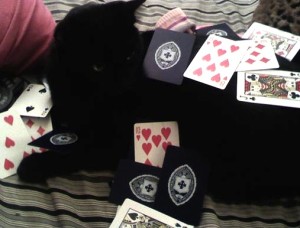 black cat amid scattered cards black cat amid scattered cards