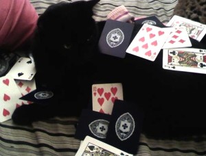 black cat amid scattered cards