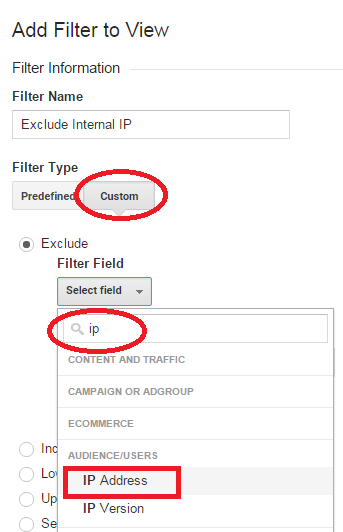 IP Address Field