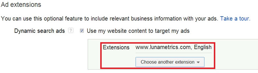 Select your website in the Dynamic Search Ad extensions options