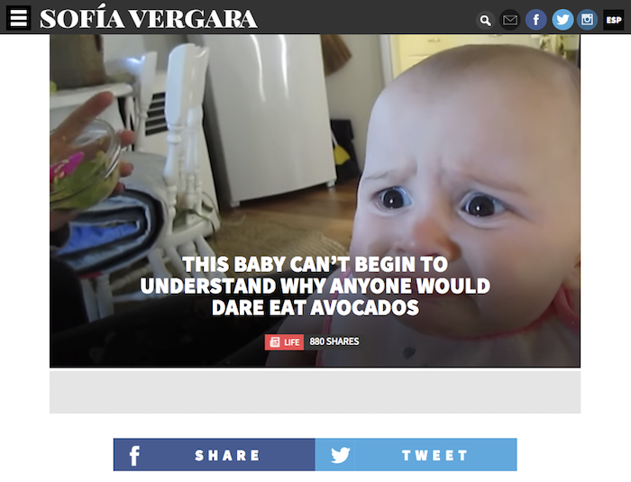 A Screenshot of Sofia Vergara's Website A Screenshot of Sofia Vergara's Website