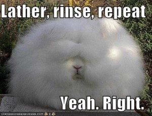 Rinse and Repeat Rinse and Repeat