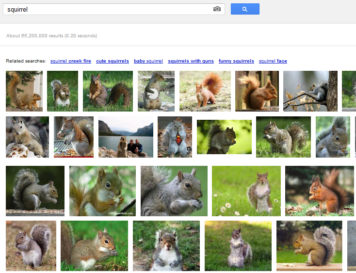 Squirrel! Squirrel!