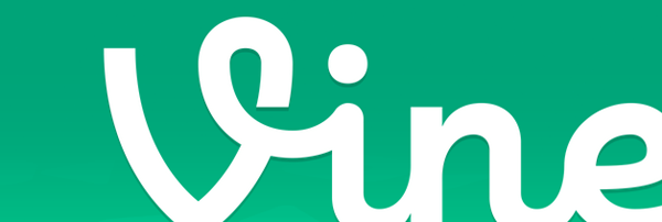 Vine Vine