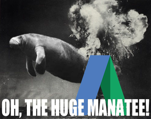 adwords-manatee-color