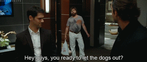 are you ready to let the dogs out are you ready to let the dogs out