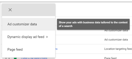 AdWords Ad Customizer