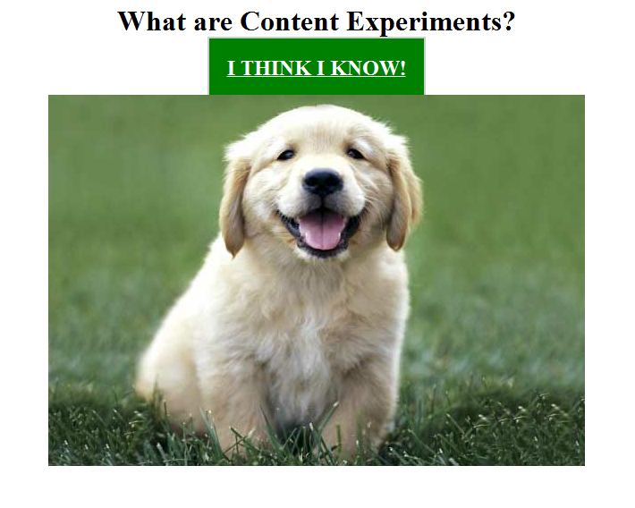 Google Analytics Content Experiments Screen 2 Google Analytics Content Experiments Screen 2