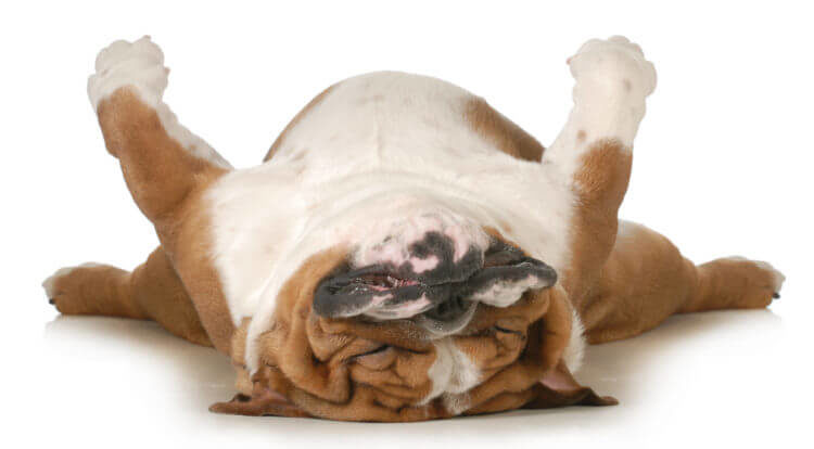 Your job description is putting me to sleep Your job description is putting me to sleep