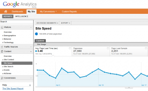 Site Speed Report