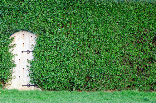 garden-315527_1280 garden-315527_1280