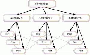 Explore Blackhatlinks.com Backlinks