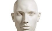 mannequin-head-small mannequin-head-small