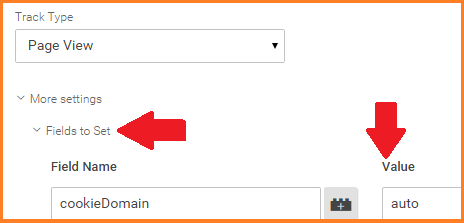 GTM Fields to Set GTM Fields to Set