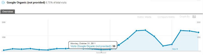 (not provided) keywords from Google Organic Search Visits