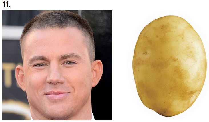 potato11