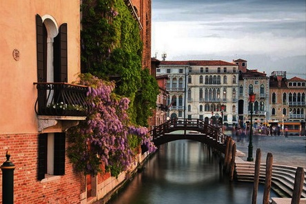 venice local results venice local results