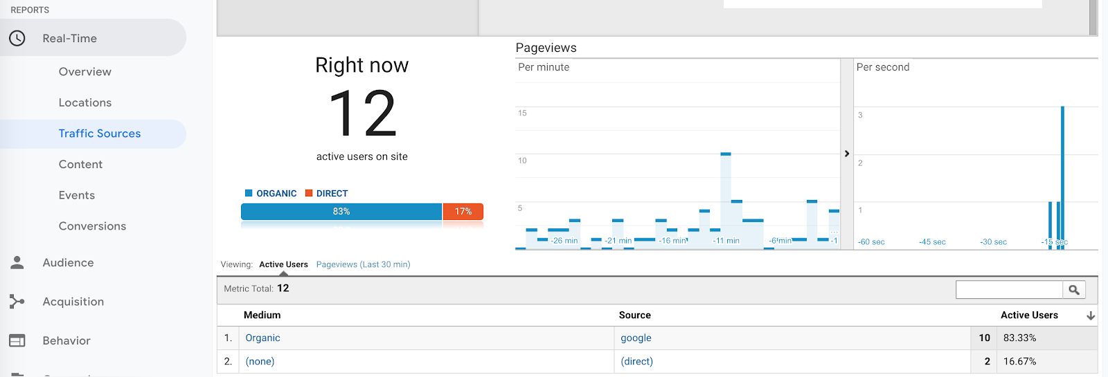 screen grab of Google Analytics Real Time Reports