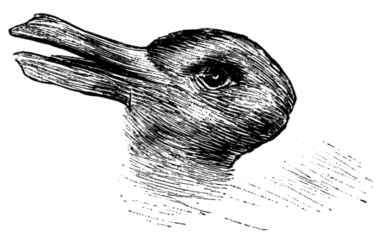 duck rabbit illusion image