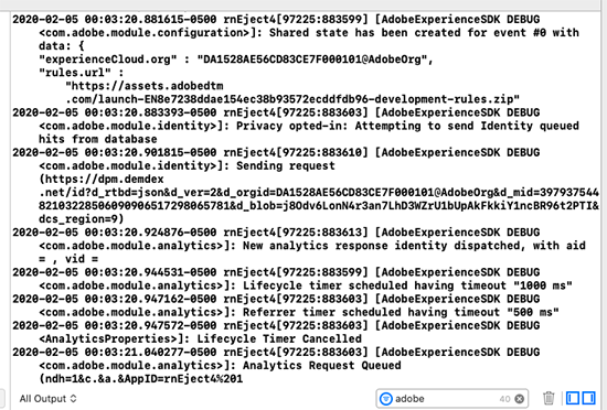 XCode Console Output screen grab
